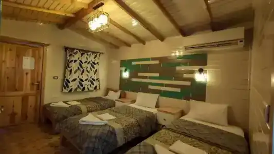 Shams & Dive Centre - 83