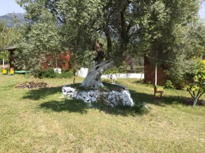 Bahar Bahce Datca - 18