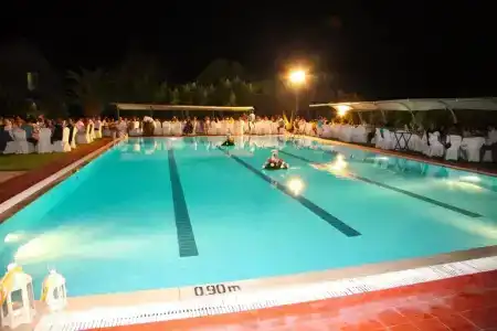 Palatino - 13