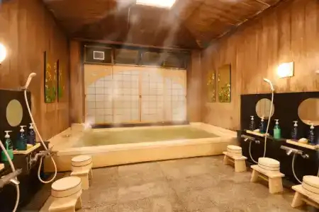Seikoro Ryokan - Established in 1831 - 7