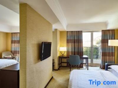 Sheraton Grand Rio & Resort - 235