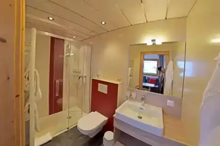 Alpenpension Gastein - 84