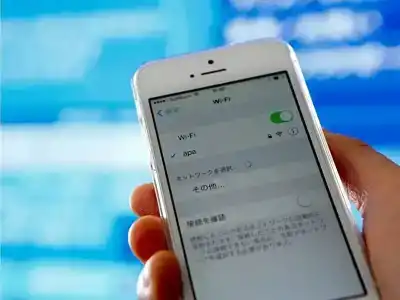 Apa Keisei Narita Ekimae - 48