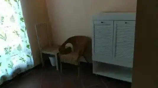 Кипарис - 1