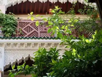 Riad Toyour- Riad of birds - 27