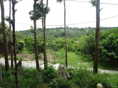 Coconutbeach Bungalows - 17