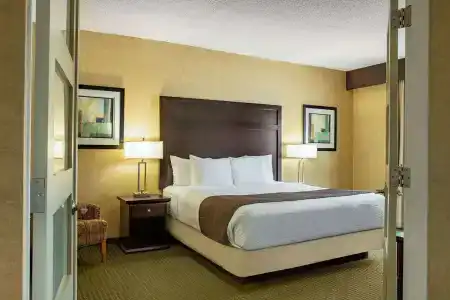 Days Inn by Wyndham Conference Centre - 5