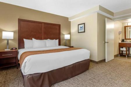 Comfort Inn Charlotte Airport Uptown - 46