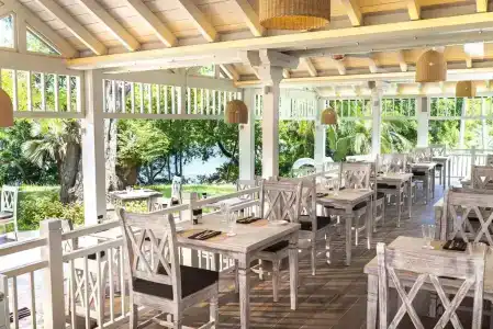 The Westin Turtle Bay & Spa - 17