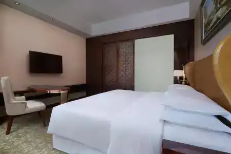 Sheraton Chongqing - 91
