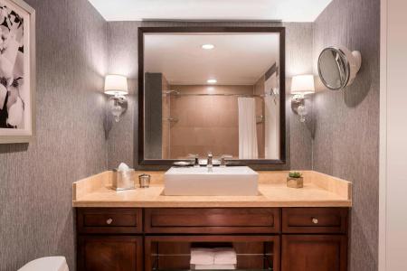 The Ritz-Carlton Atlanta - 37