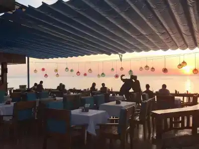 Orange Resort - 26
