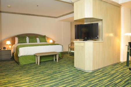 Radisson Paraiso Perisur - 3