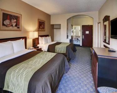 Quality Inn & Suites Dfw Airport South - 73