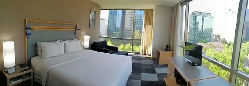 Holiday Inn Express Mexico Reforma - 68