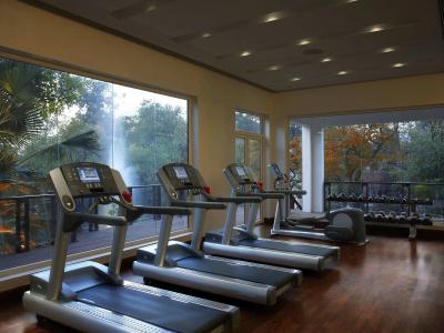 Itc Mughal, a Luxury Collection & Spa, - 21