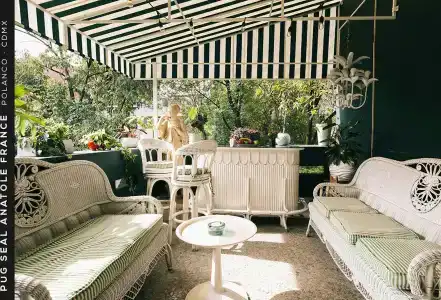 Pug Seal Polanco Anatole France - 31