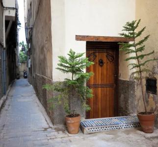 Riad Vega - 13