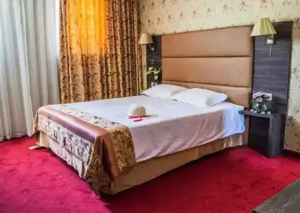 Spa Dvoretsa - 28