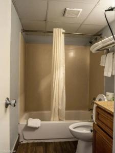 Marjac Suites Virginia Beach Oceanfront - 8