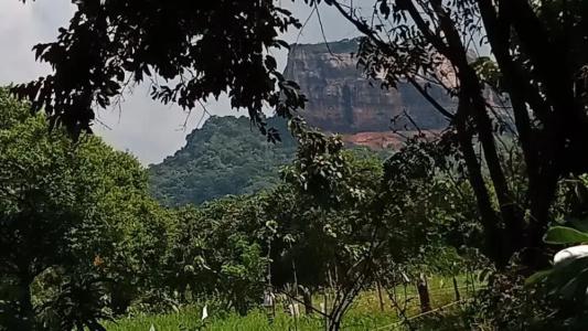 Sigiriya Rock Gate Resort - 112