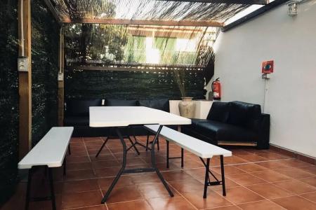 Arena Nest - 12