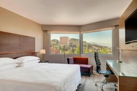 Sheraton & Convention Center - 47