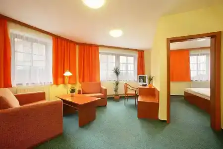Záviš z Falkenštejna - 37