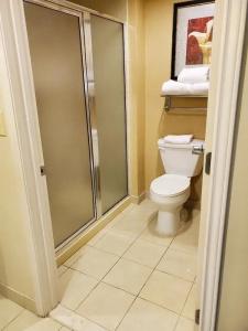 Homewood Suites at Mall Del Norte - 78