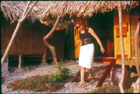 Monkey Island Resort - 25
