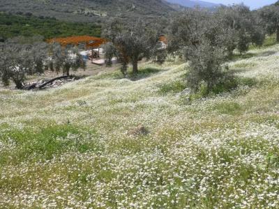 Natureland Efes Pension - 57