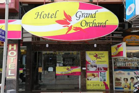 Grand Orchard - 15