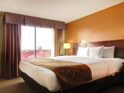 Comfort Suites West - 50