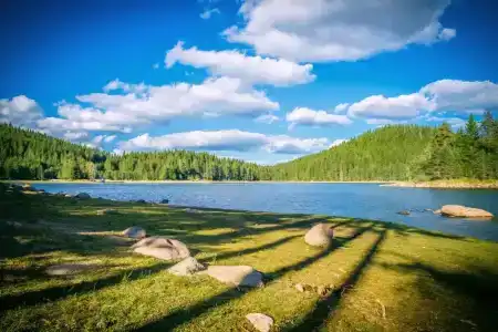 Romantica Forest Holiday Village - 14