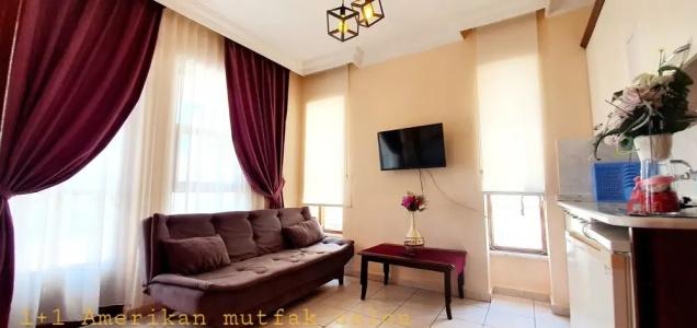 Palmen Apart - 78