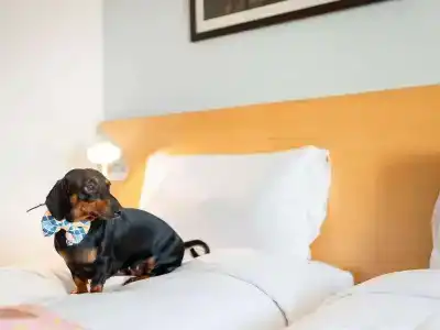 ibis Chennai City Centre - An Accor Brand - 64
