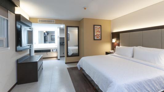 Holiday Inn Express - Mexico Basilica, An Ihg - 30