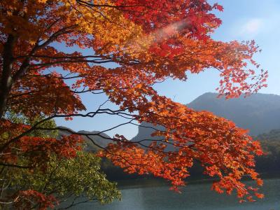 Shiga Park - 9