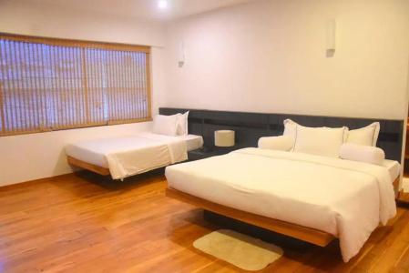 Manuka Hillwood - 17