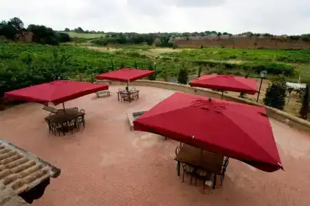 Azienda Agricola Sinisi - 50