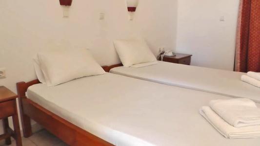 Oasis Guesthouse - 2