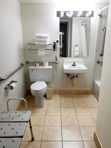 Alex and Suites - 28