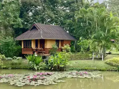 Pura Vida - 53
