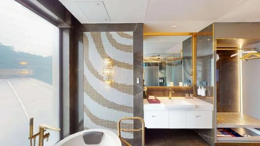 Radisson Blu Grt, Chennai - 111
