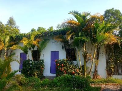 Bohemiaz Resort and Spa Kampot - 80