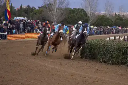 Pineda Park - 31