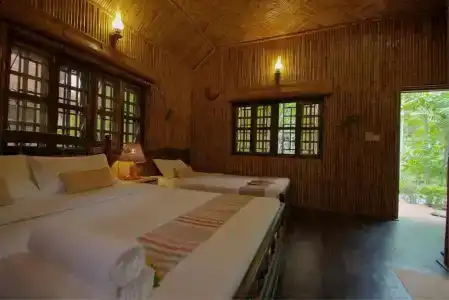 Palm Village Resort & Spa - 67