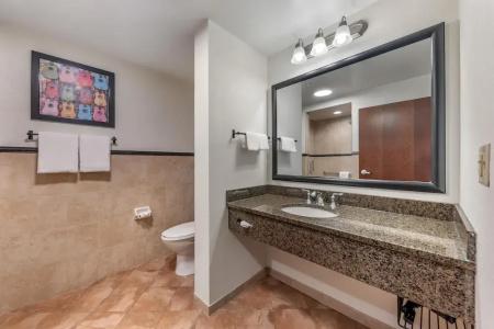 Drury Plaza San Antonio North Stone Oak - 61