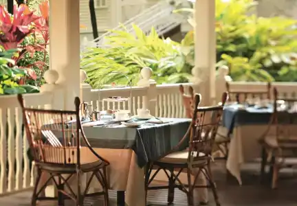 Heritage Le Telfair Golf & Wellness - 24