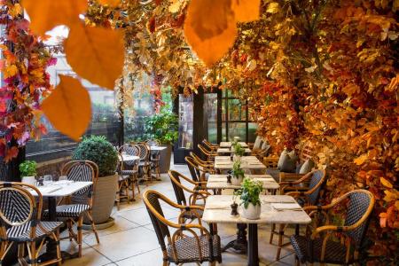 The Bloomsbury - 46